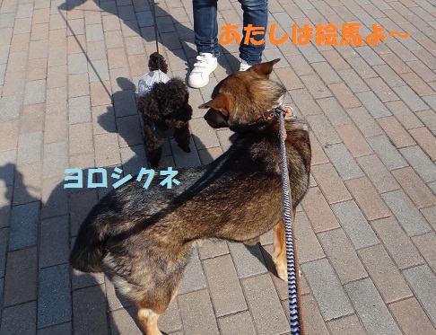 f0121712_17191539.jpg
