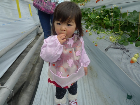 f0157613_23382012.jpg
