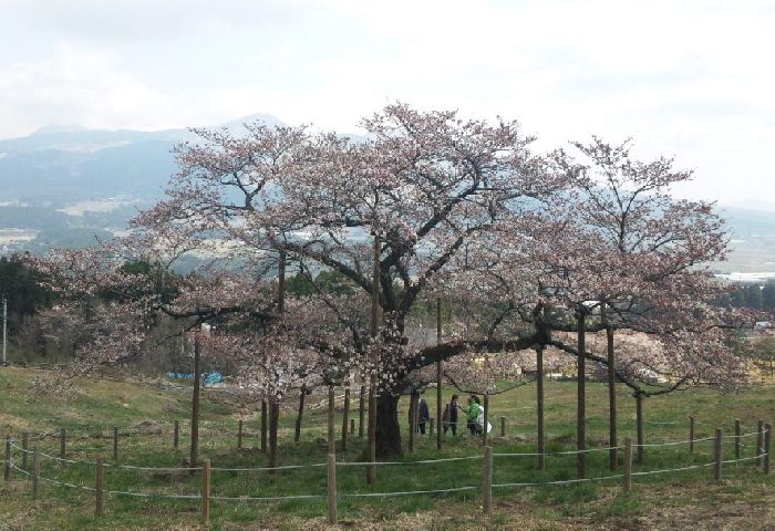 a0037414_22295087.jpg