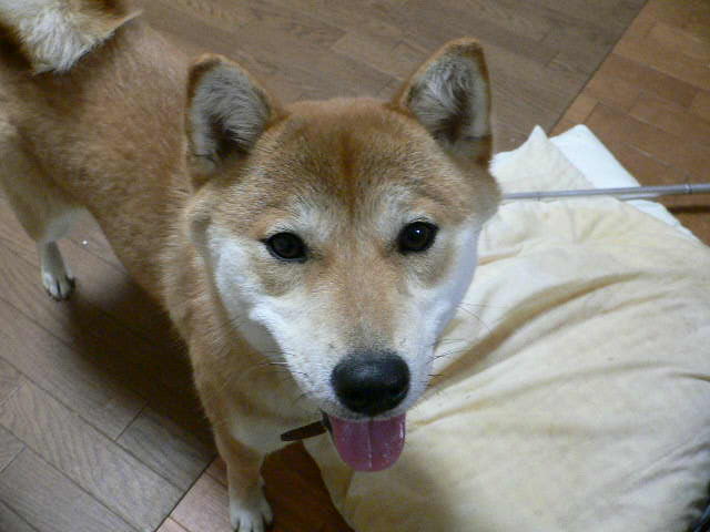 a0190414_22464588.jpg