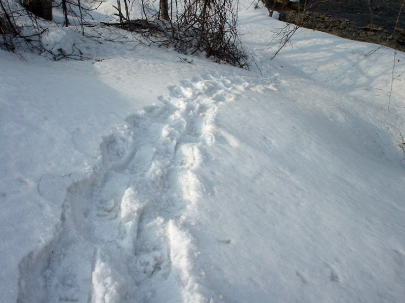 d0070814_8125359.jpg