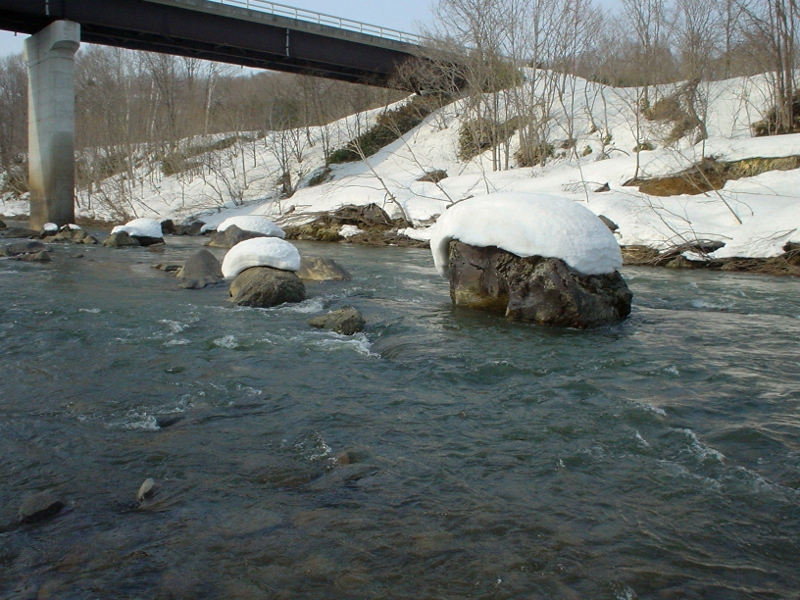 d0070814_8143227.jpg