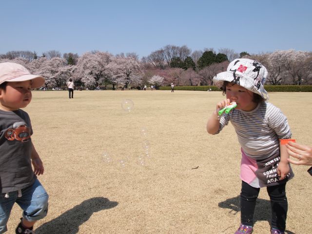 a0151615_22421412.jpg
