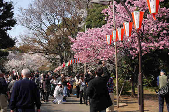 b0224616_15475654.jpg