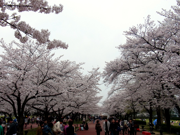 e0083517_19331.jpg