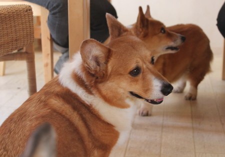 のあの初めまして~♪…の日_f0155118_9171428.jpg