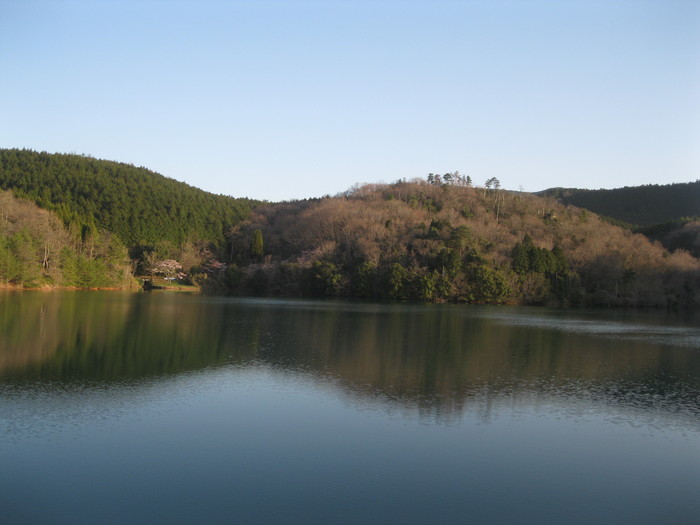 桜の下で~♪_a0125419_241208.jpg