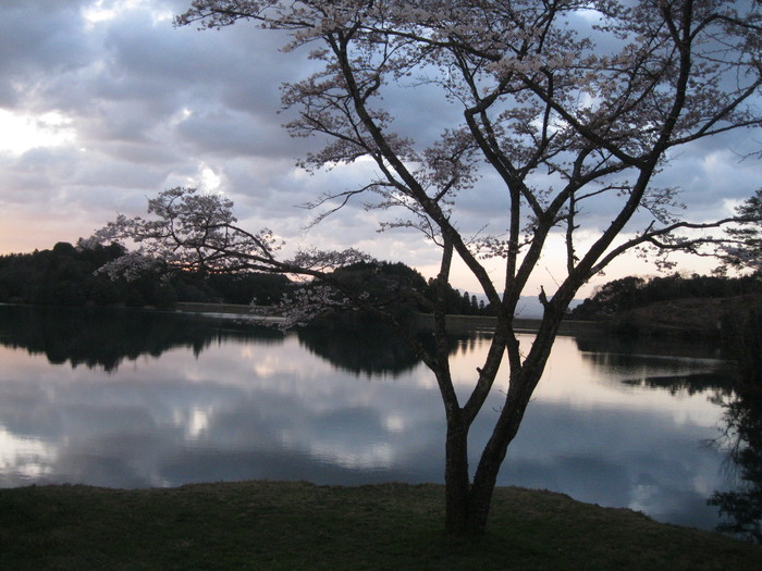 2012「虹の市 春」と「開拓」に~☆_a0125419_310990.jpg