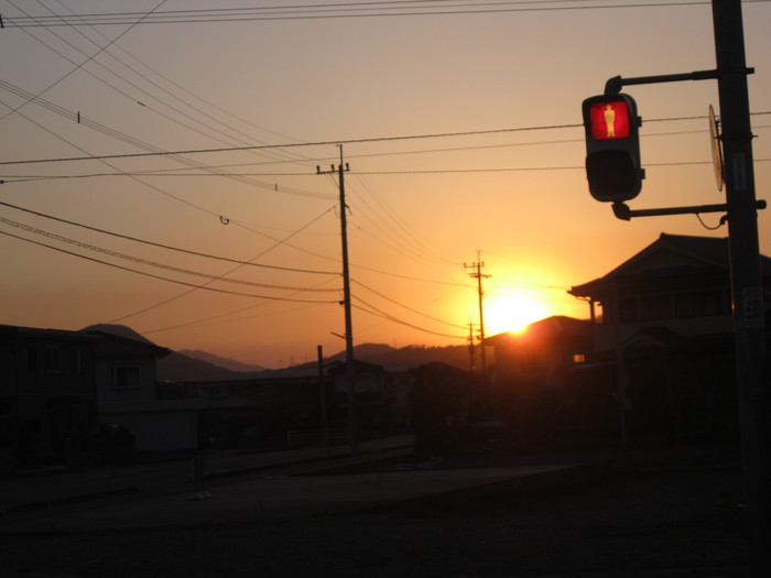 桜の下で～♪_a0125419_352668.jpg