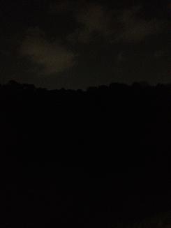 c0127019_2315332.jpg