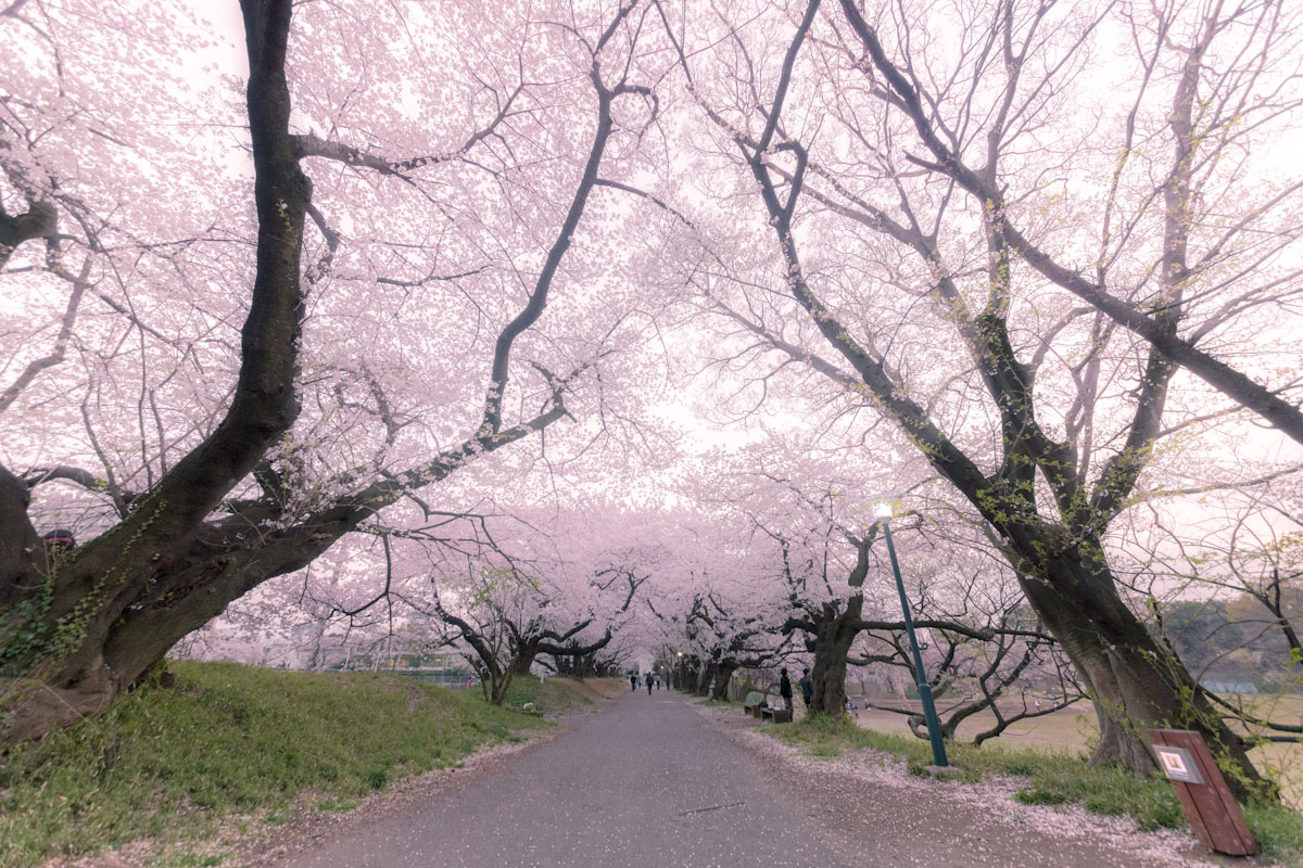 今夜も大荒れの予感_b0213320_184706.jpg