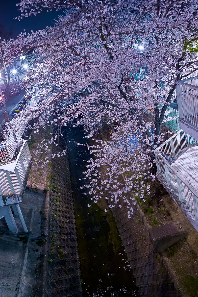 c0191021_0744.jpg