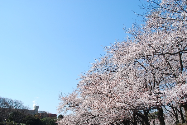 c0013922_1630717.jpg