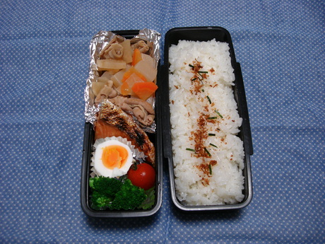 豚モツでお弁当_d0250123_18461443.jpg