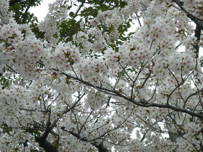 a0238324_211054.jpg