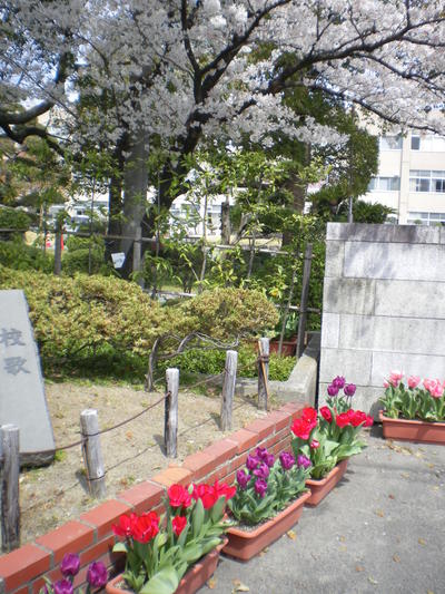 a0238324_21195875.jpg