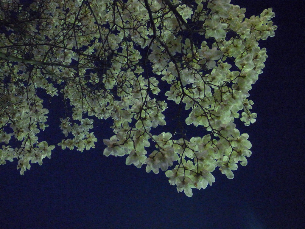 c0200027_22144579.jpg
