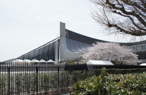 移動中に見た桜_d0004728_746948.jpg