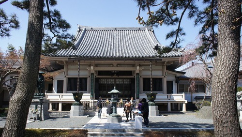 甘茶_d0004728_833317.jpg