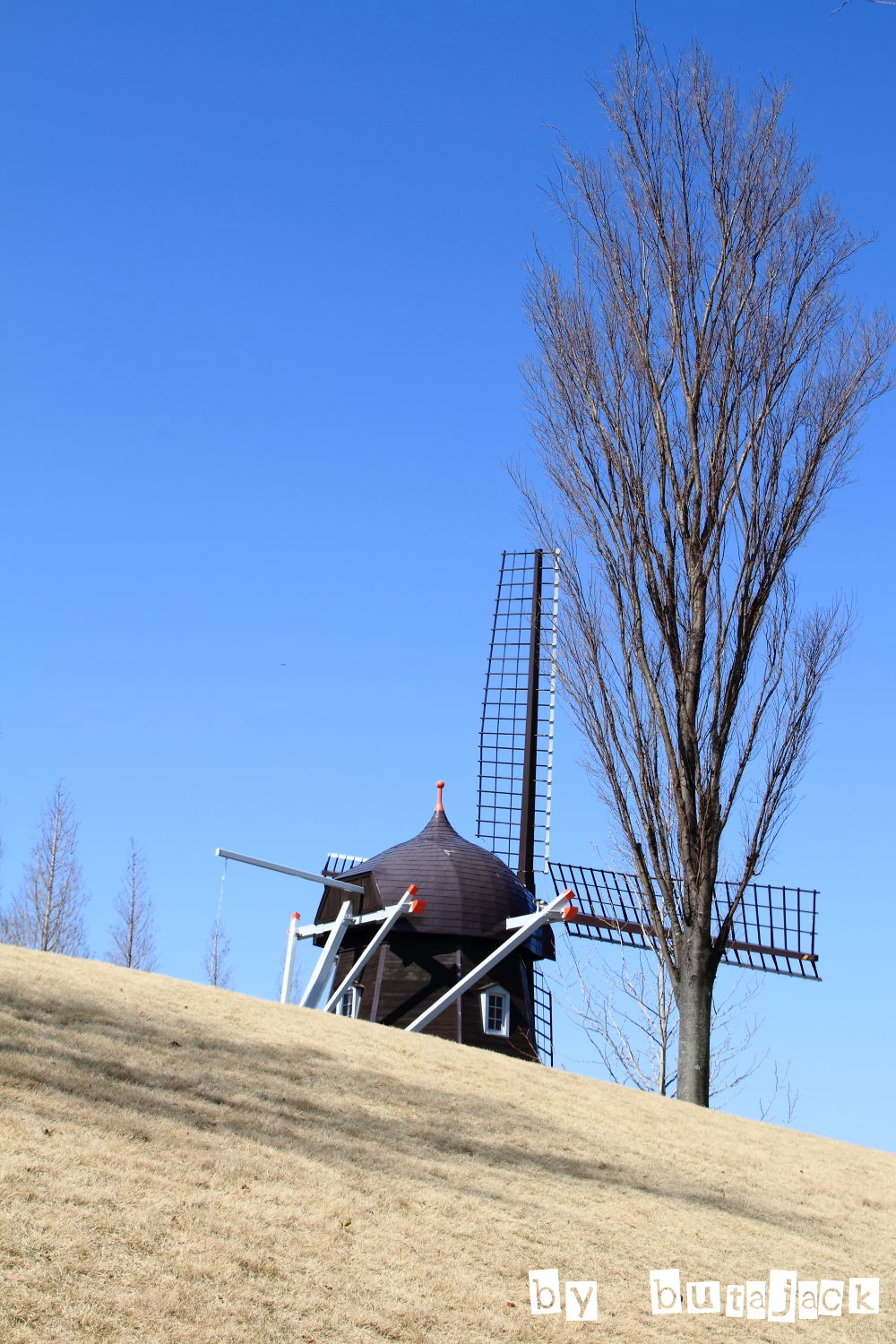 e0220828_212546.jpg