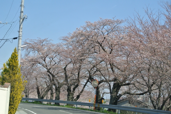 a0099131_0332729.jpg