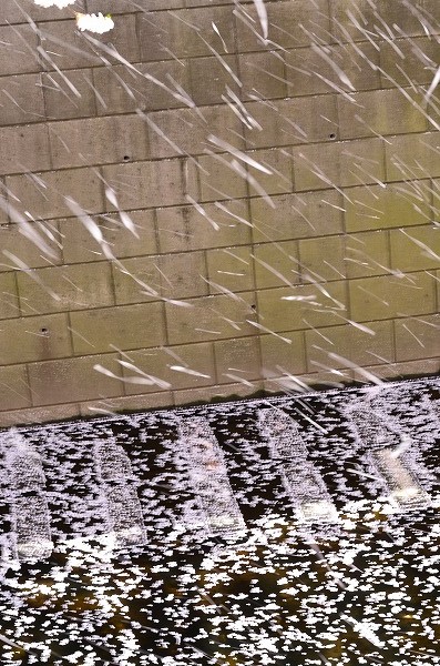 e0146031_8283164.jpg