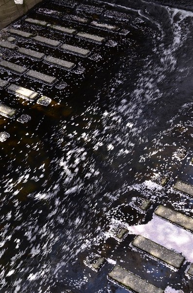 e0146031_836426.jpg