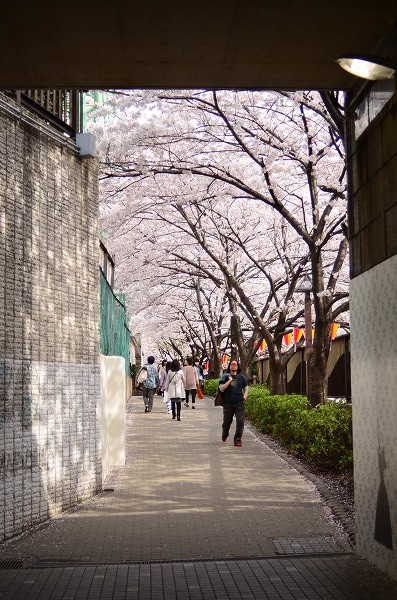 e0146031_8391481.jpg