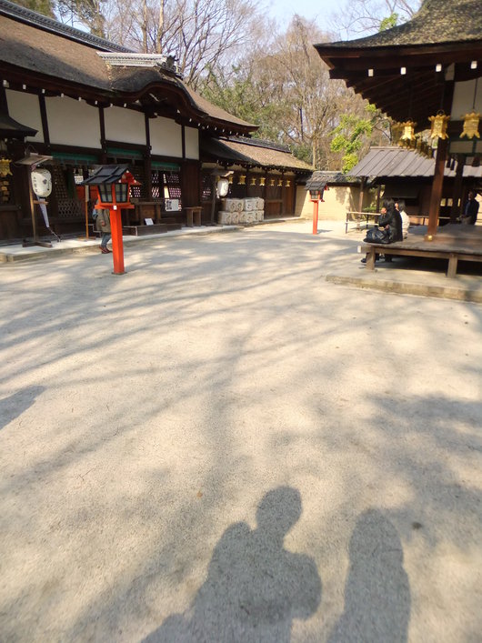 d0178432_755098.jpg