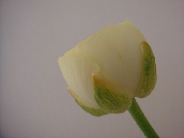 a0186034_8201877.jpg