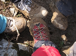 e0200734_1882998.jpg
