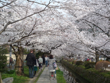 京都・お花見旅行！_f0214837_221851100.jpg