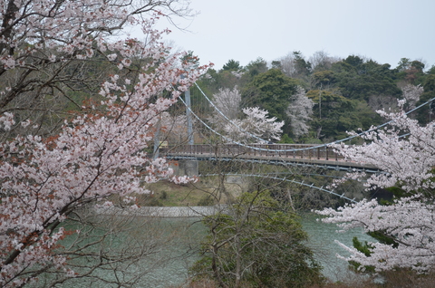 2012桜咲く”春” ～充実のドライブプラン・・・？_d0153941_105316.jpg