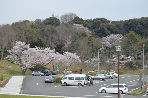 2012桜咲く”春” ～充実のドライブプラン・・・？_d0153941_10583249.jpg
