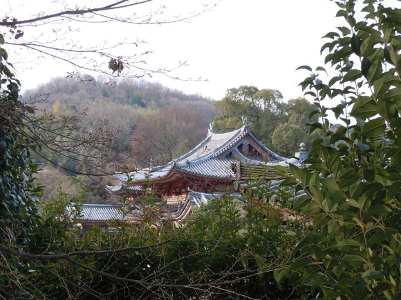 最近はついつい遠出をしてしまいます。_d0227044_21551131.jpg
