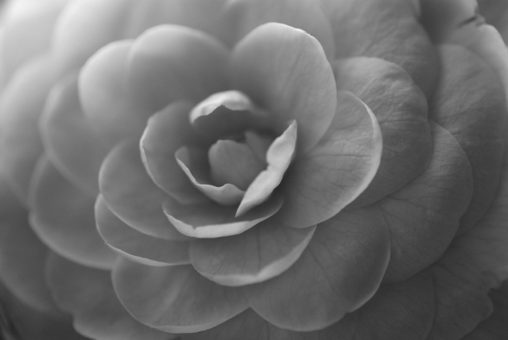 e0009147_16241770.jpg