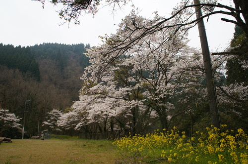b0242248_23224995.jpg
