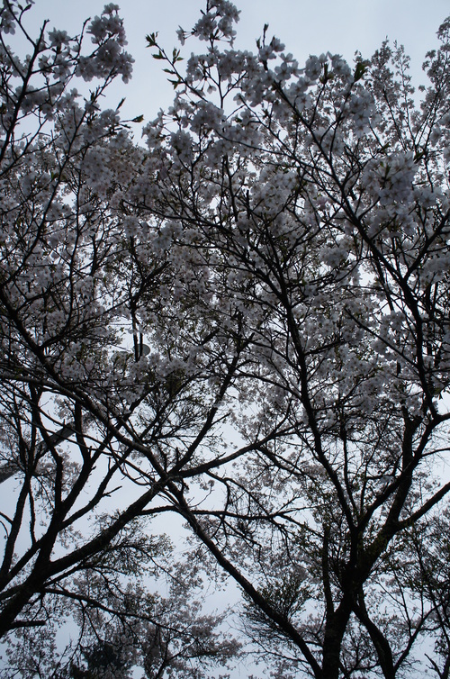 b0242248_23282655.jpg