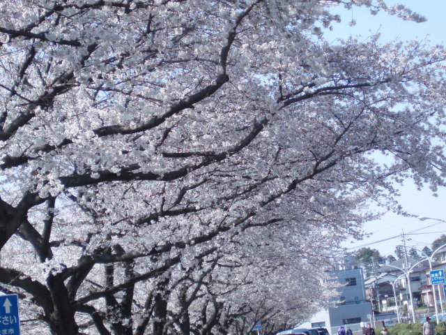 c0143650_7345134.jpg