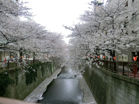 d0212451_18135783.jpg