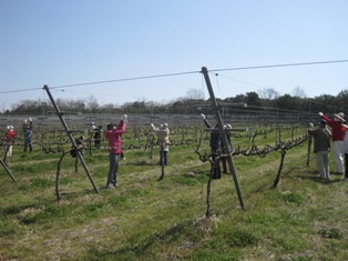 f0234452_81188.jpg
