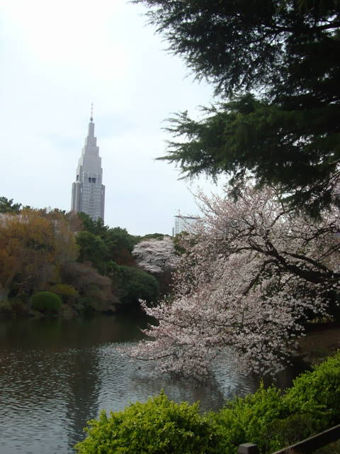 a0124556_21131167.jpg