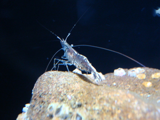 f0198556_01386.jpg