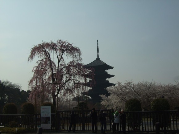 c0111557_1123386.jpg