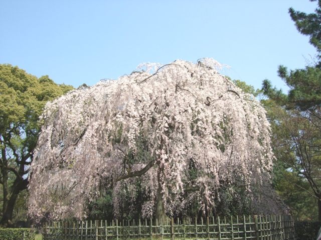 c0111557_11333797.jpg