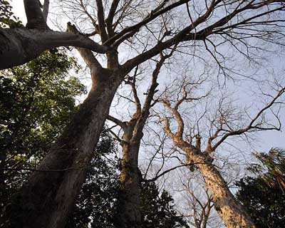 e0035757_18362339.jpg