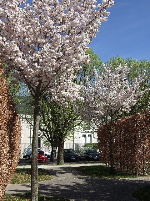 a0022762_2222339.jpg