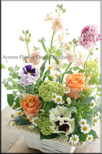 春のお花♪_f0215262_16543576.jpg