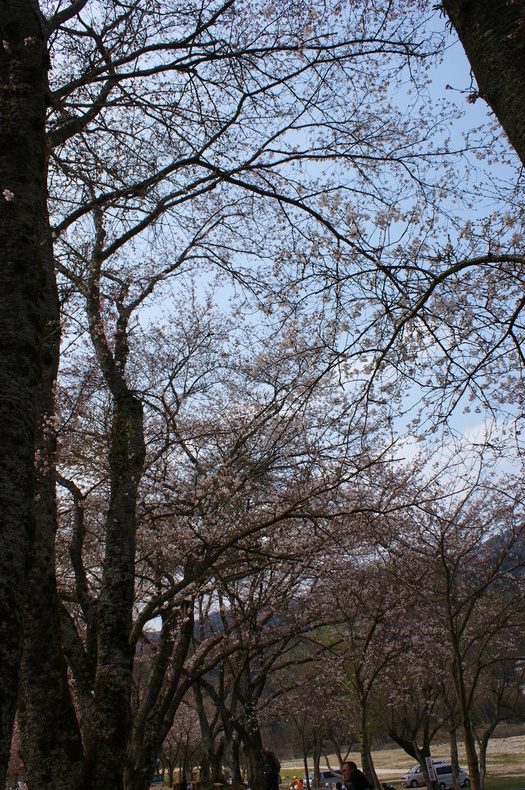 f0161964_22345510.jpg