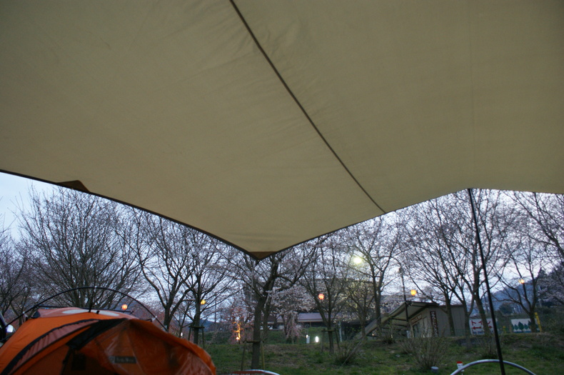 f0161964_22512216.jpg
